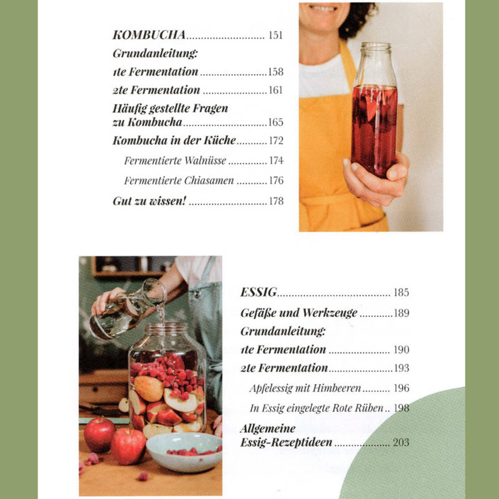 Buch Fermentista