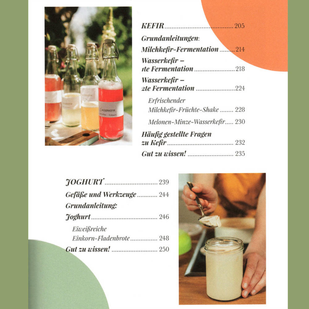 Buch Fermentista