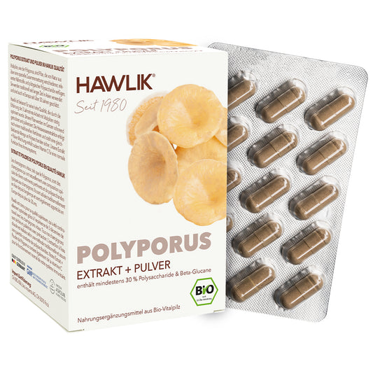 hawlik-polyporus--