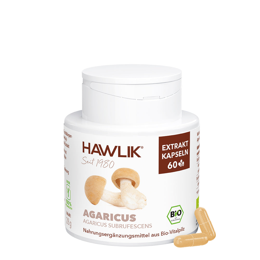 hawlik-agaricus--