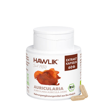 hawlik-auricularia--