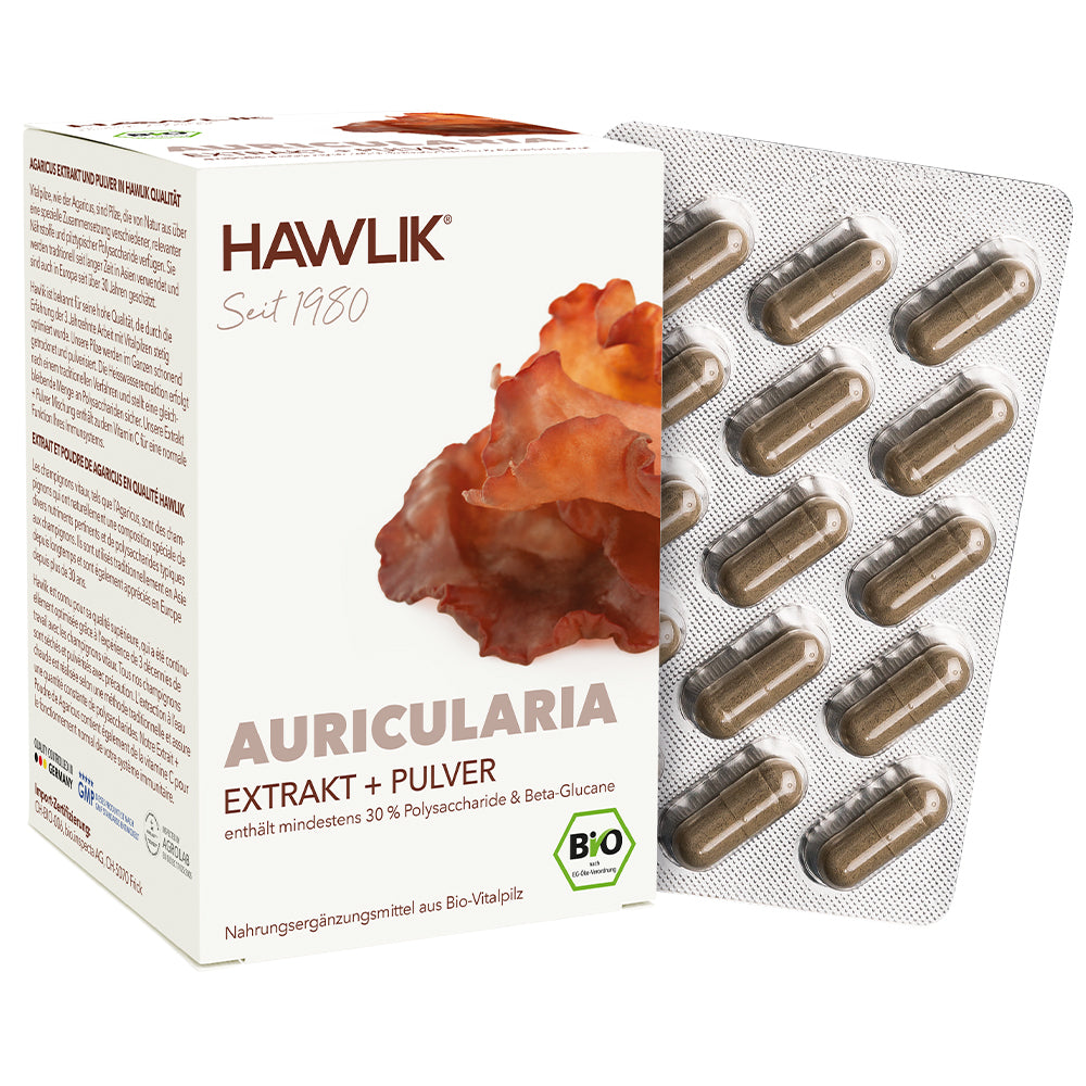 hawlik-auricularia--