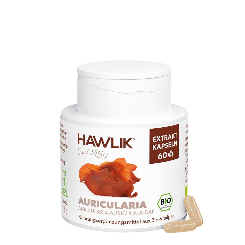 hawlik-auricularia--