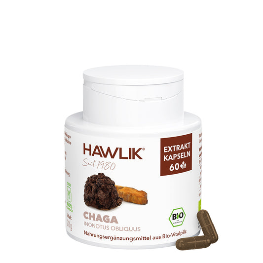 hawlik-chaga--