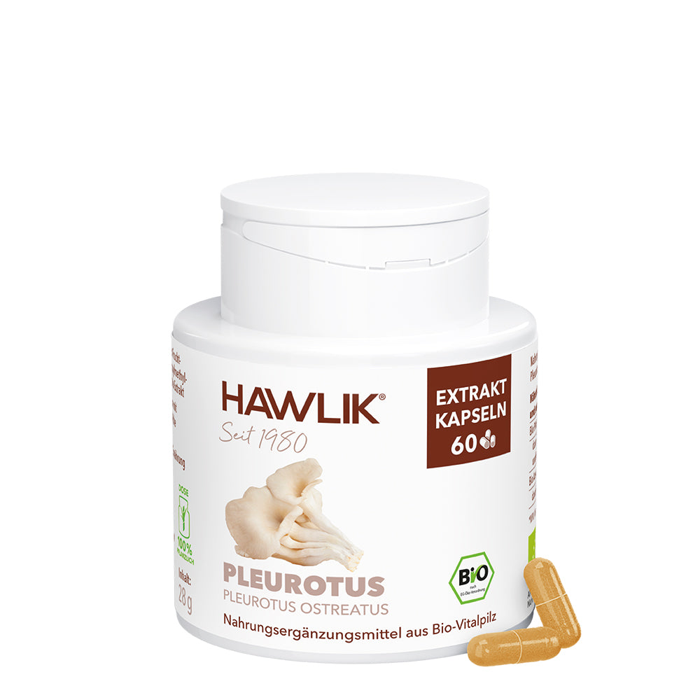 hawlik-pleurotus--