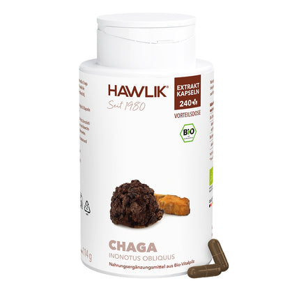hawlik-chaga--