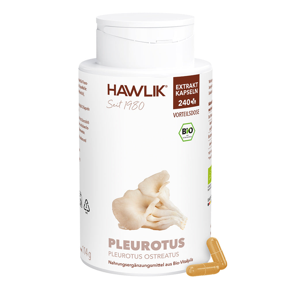 hawlik-pleurotus--