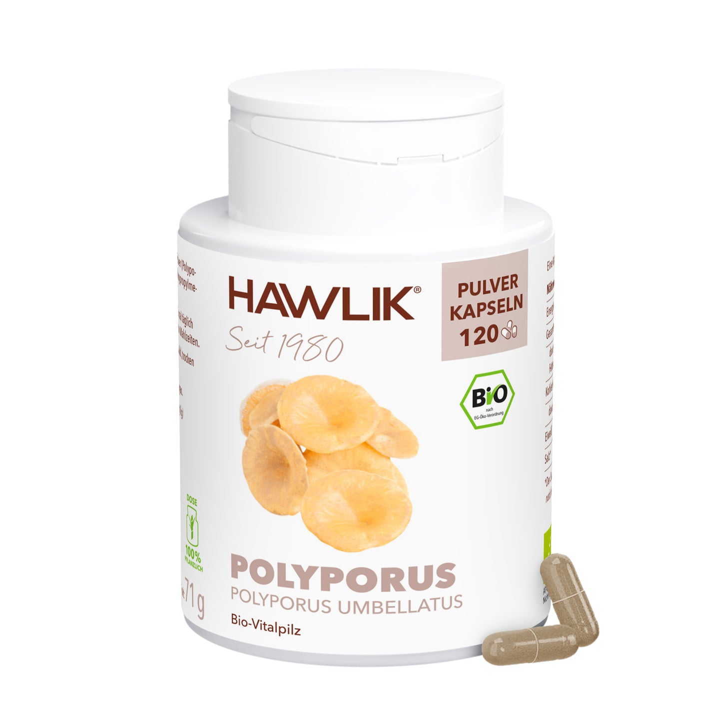 hawlik-polyporus--