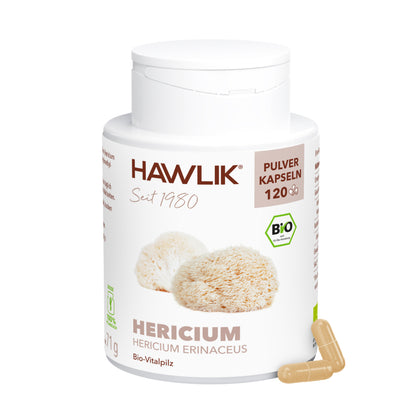 hawlik-hericium--
