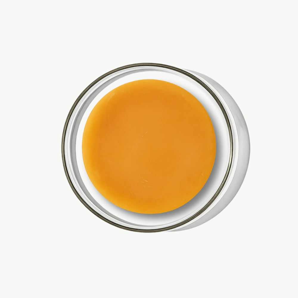 kombucha-teepilz-bio-diy
