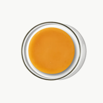 kombucha-teepilz-bio-diy