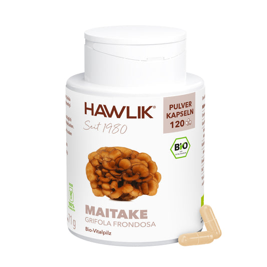 hawlik-maitake--