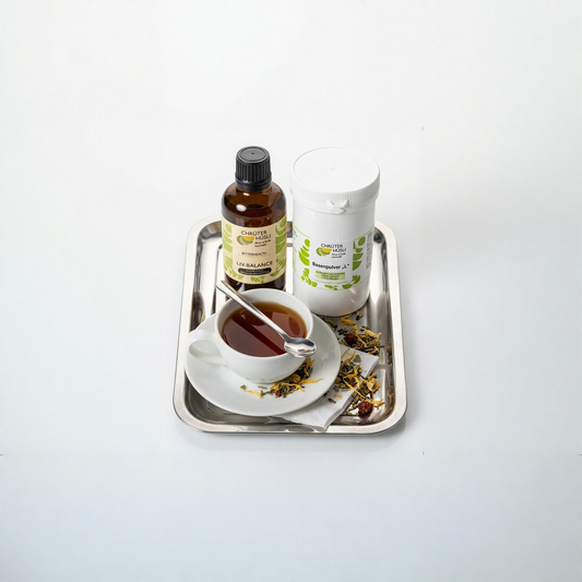 refresh-package-2026-packages