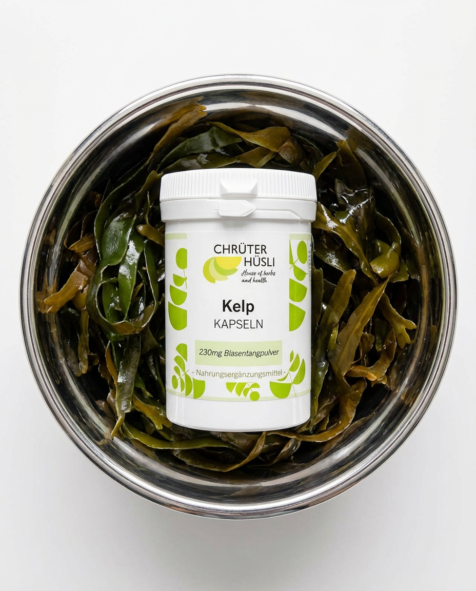 shape-up-package-2026-packages