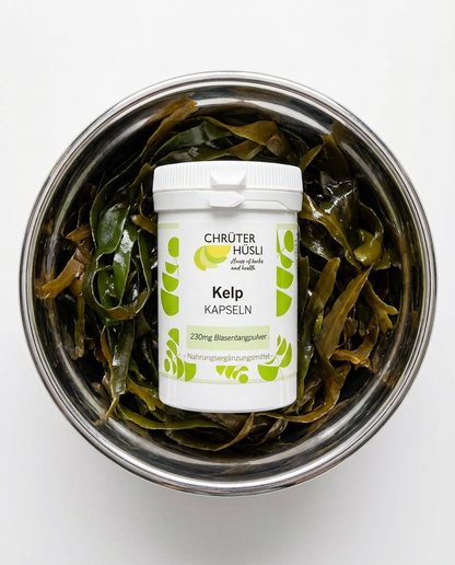 shape-up-package-2026-packages