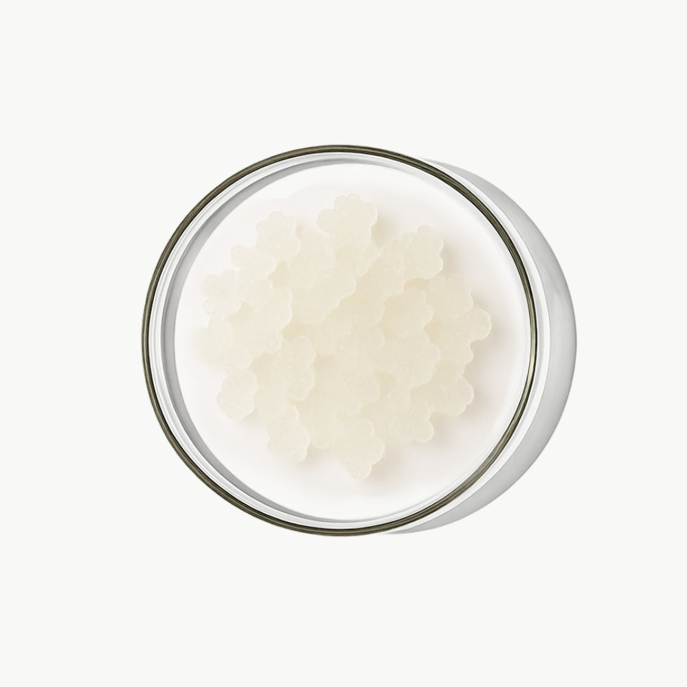 wasser-kefir-bio-diverse